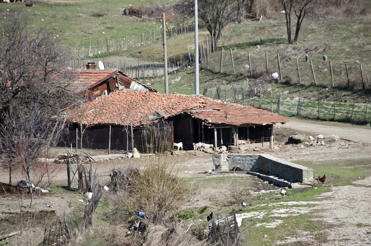 Bulgarian farm