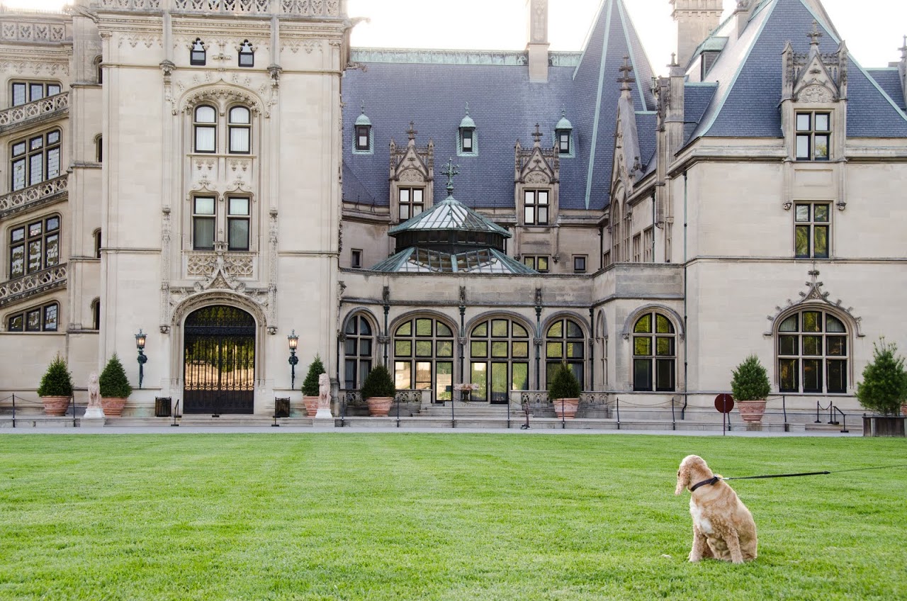 Chewy at the Biltmore Estate