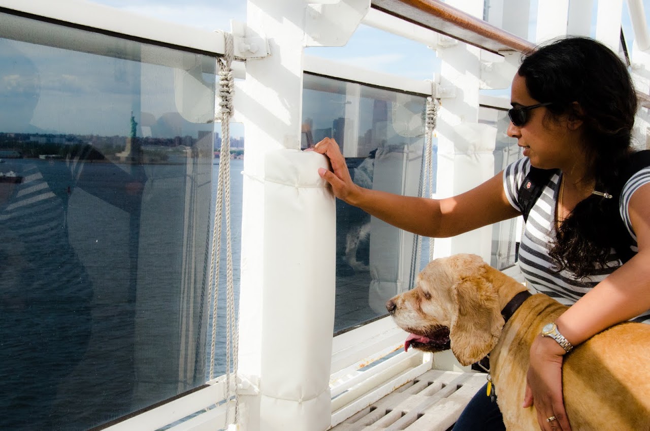 Chewy looking at the Statue of Liberty from the QM2