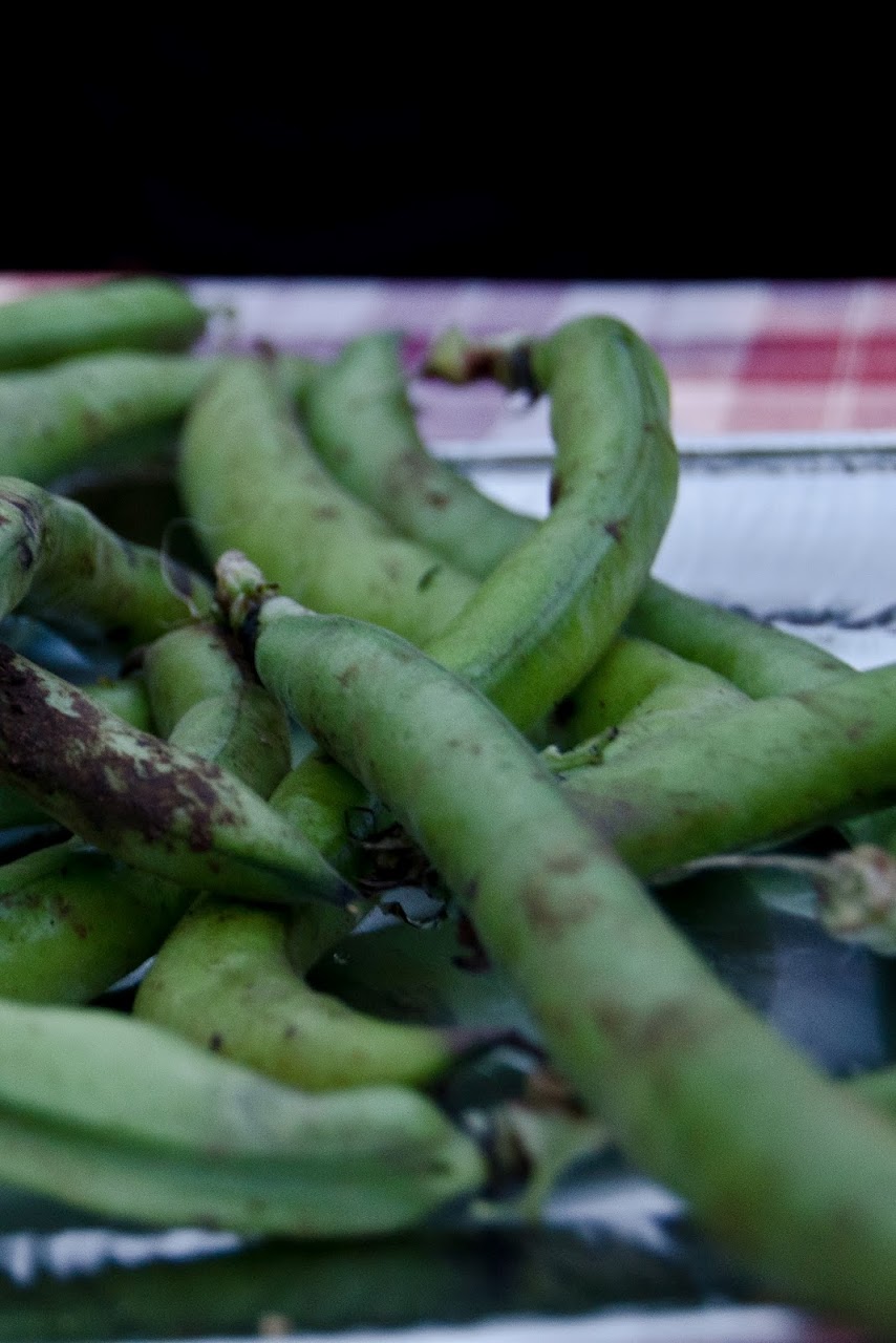 Fava beans at St. George festival
