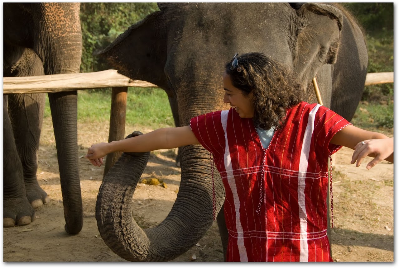 Getting elephant kisses
