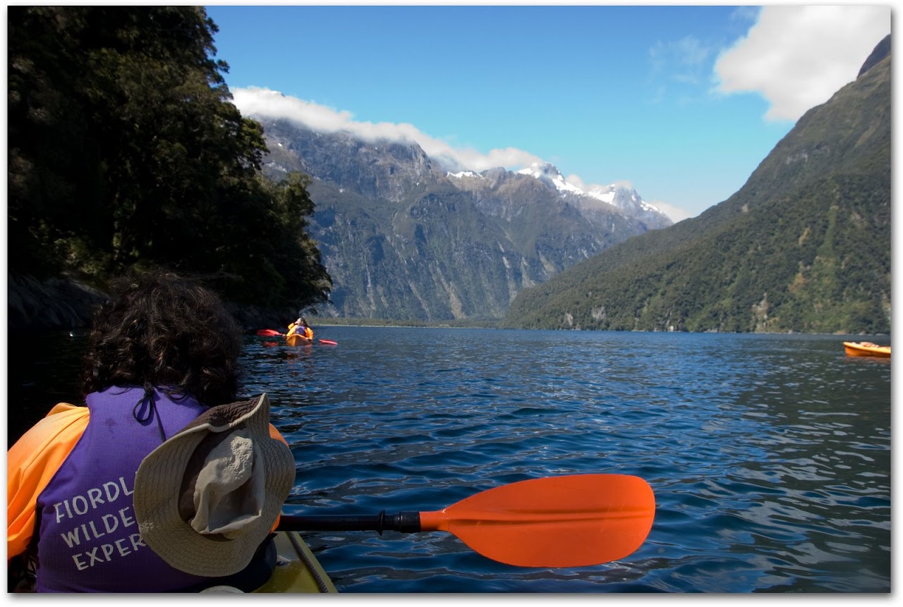 Kayaking in Milford Sound