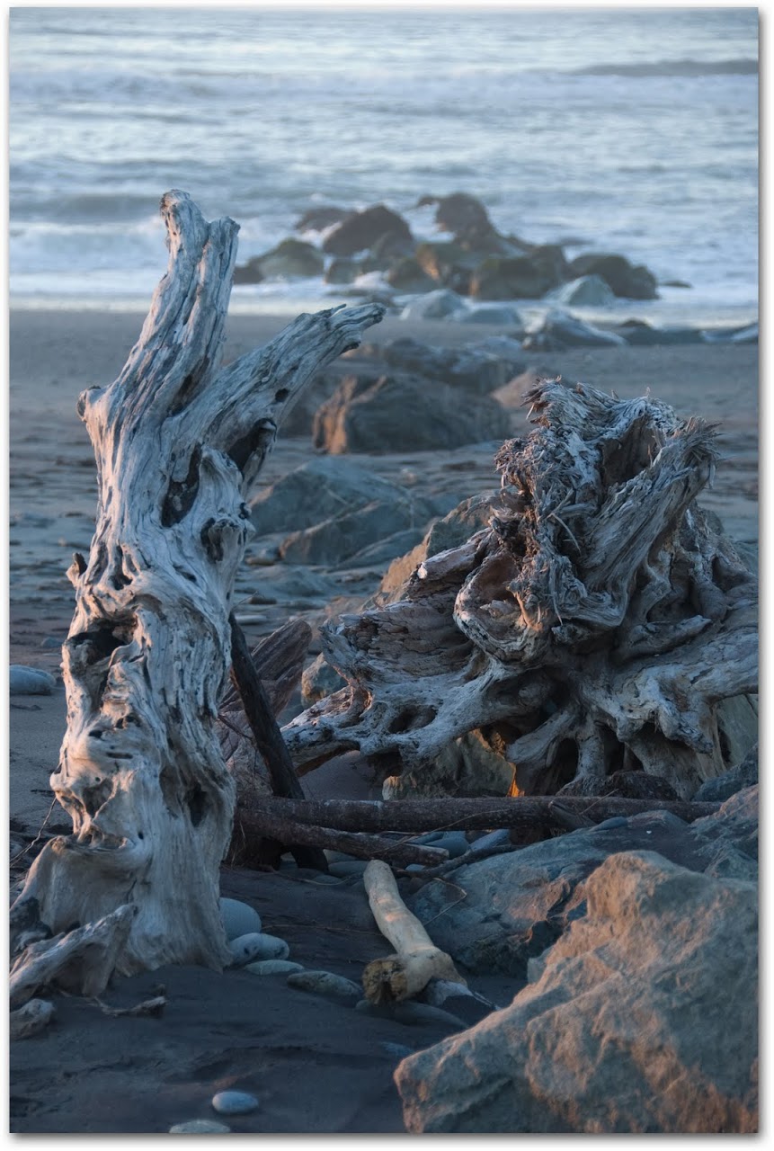 Driftwood at Hokitika beach