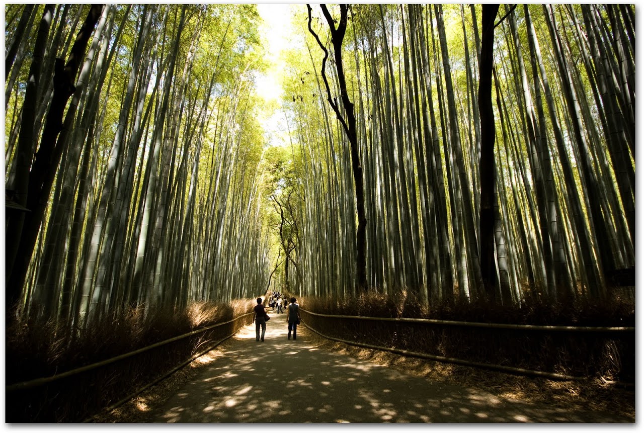 Bamboo path Kyoto Arashiyama