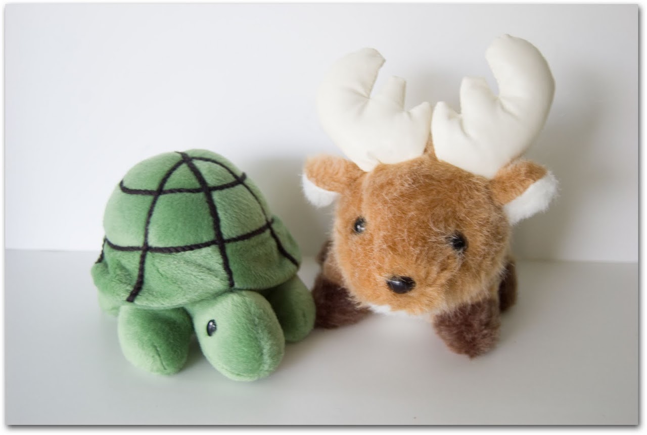 deer and turtle