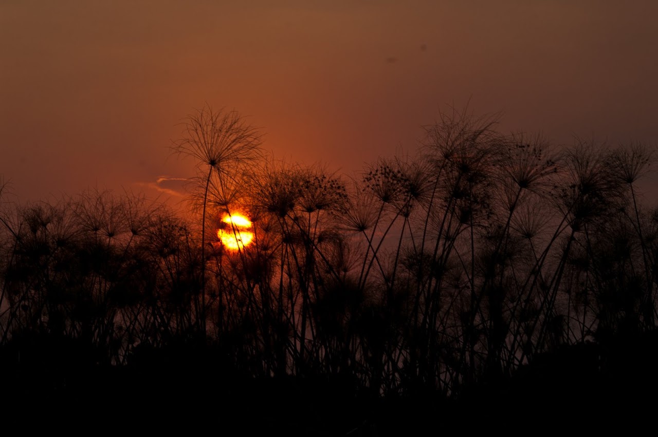 Sunset at Okavango