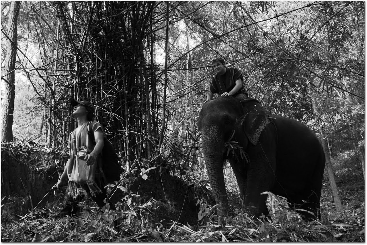 Riding an elephant with mahout through forest
