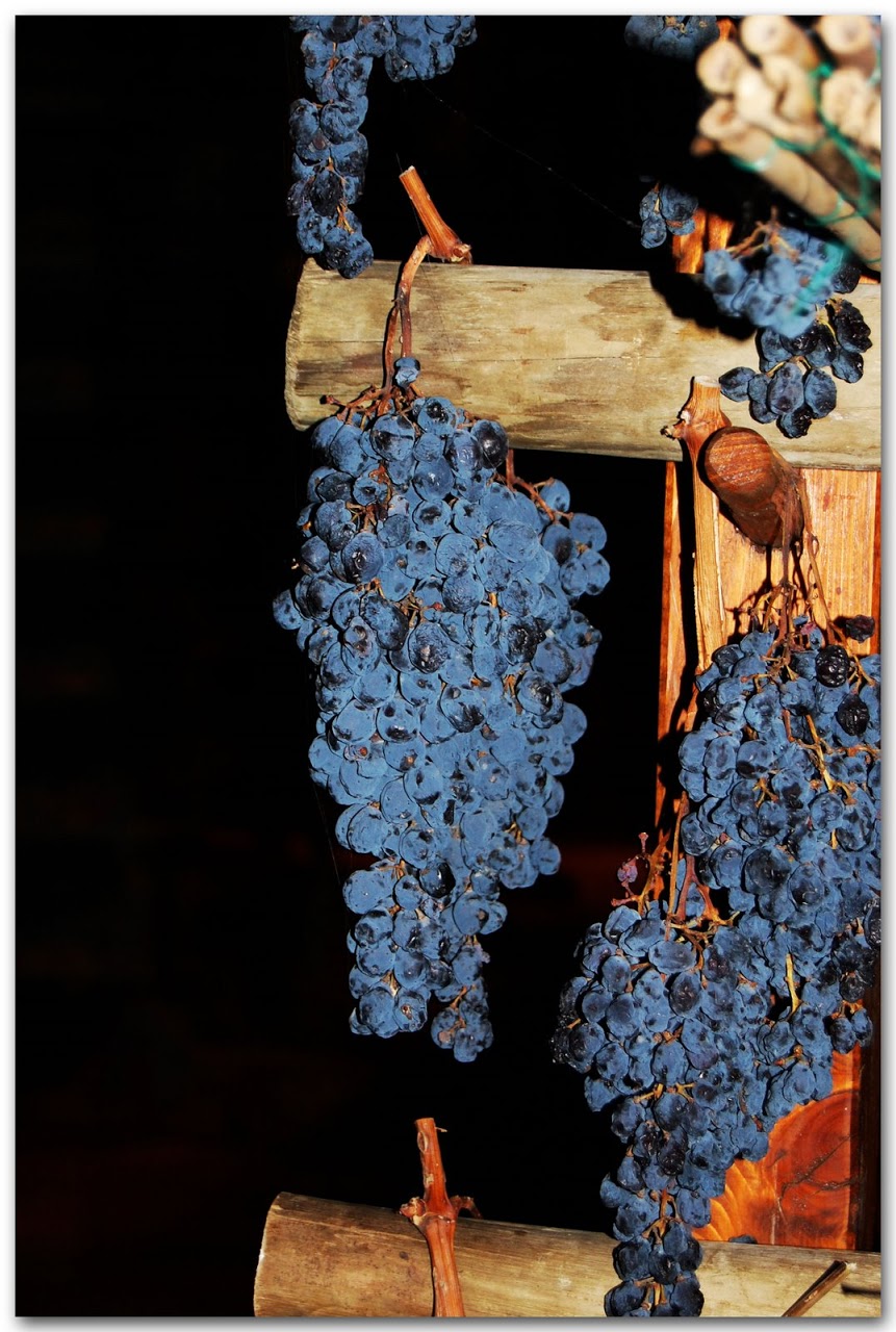 Grapes drying