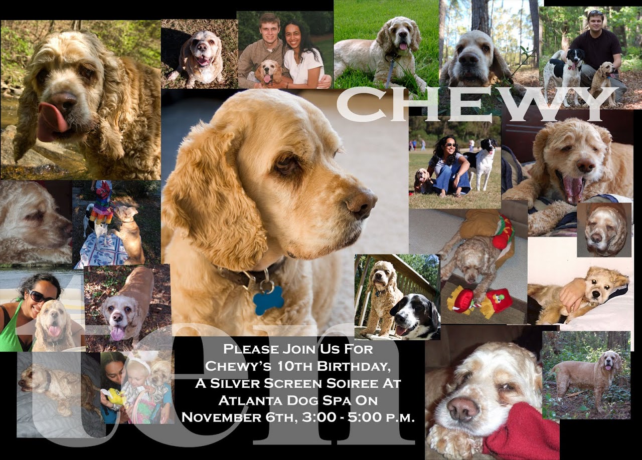Chewy birthday invitation