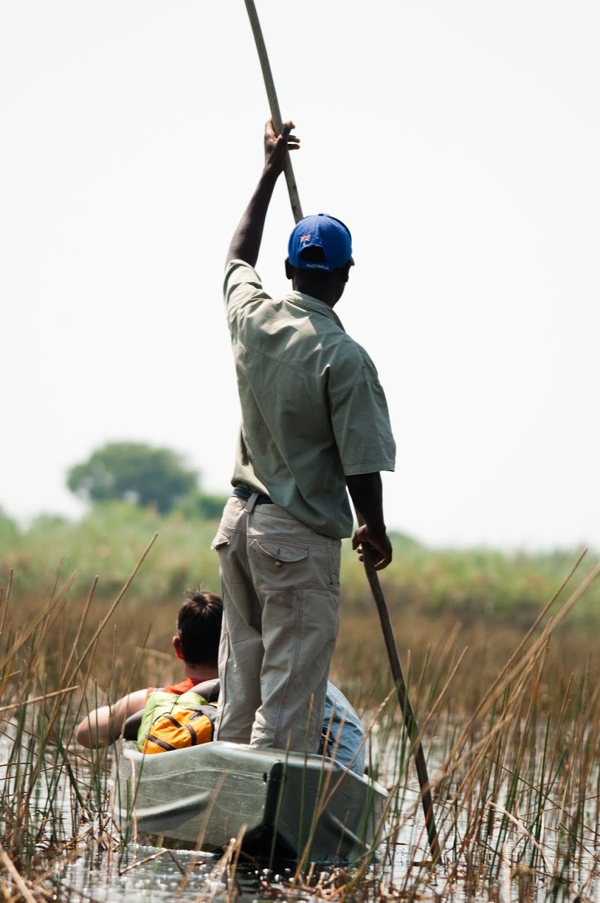 Poling in the Okavango