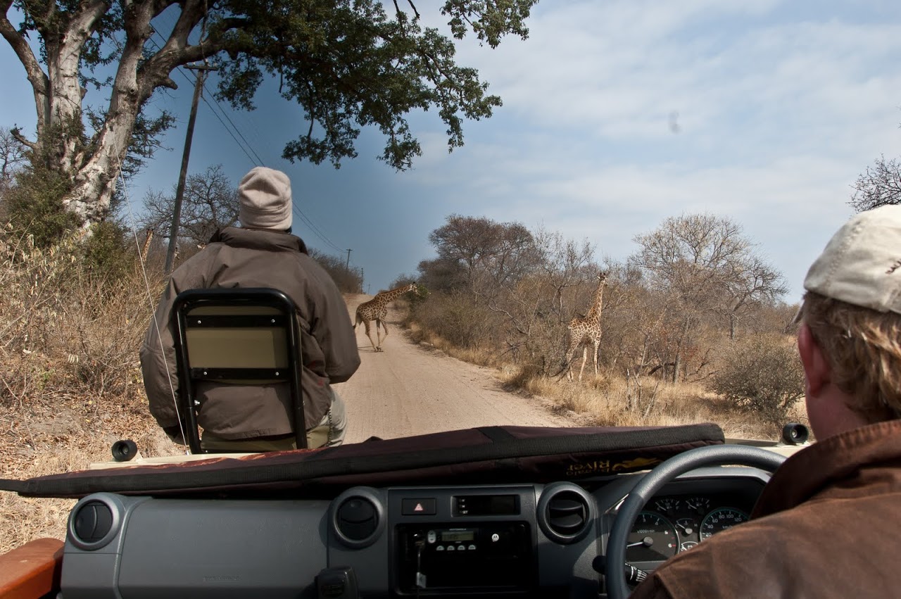 Game viewing vehicle at Naledi