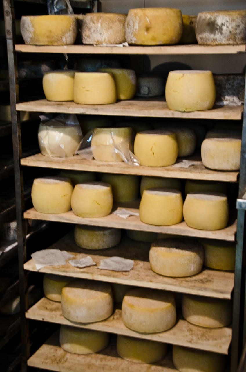 Cheese aging Radicondoli