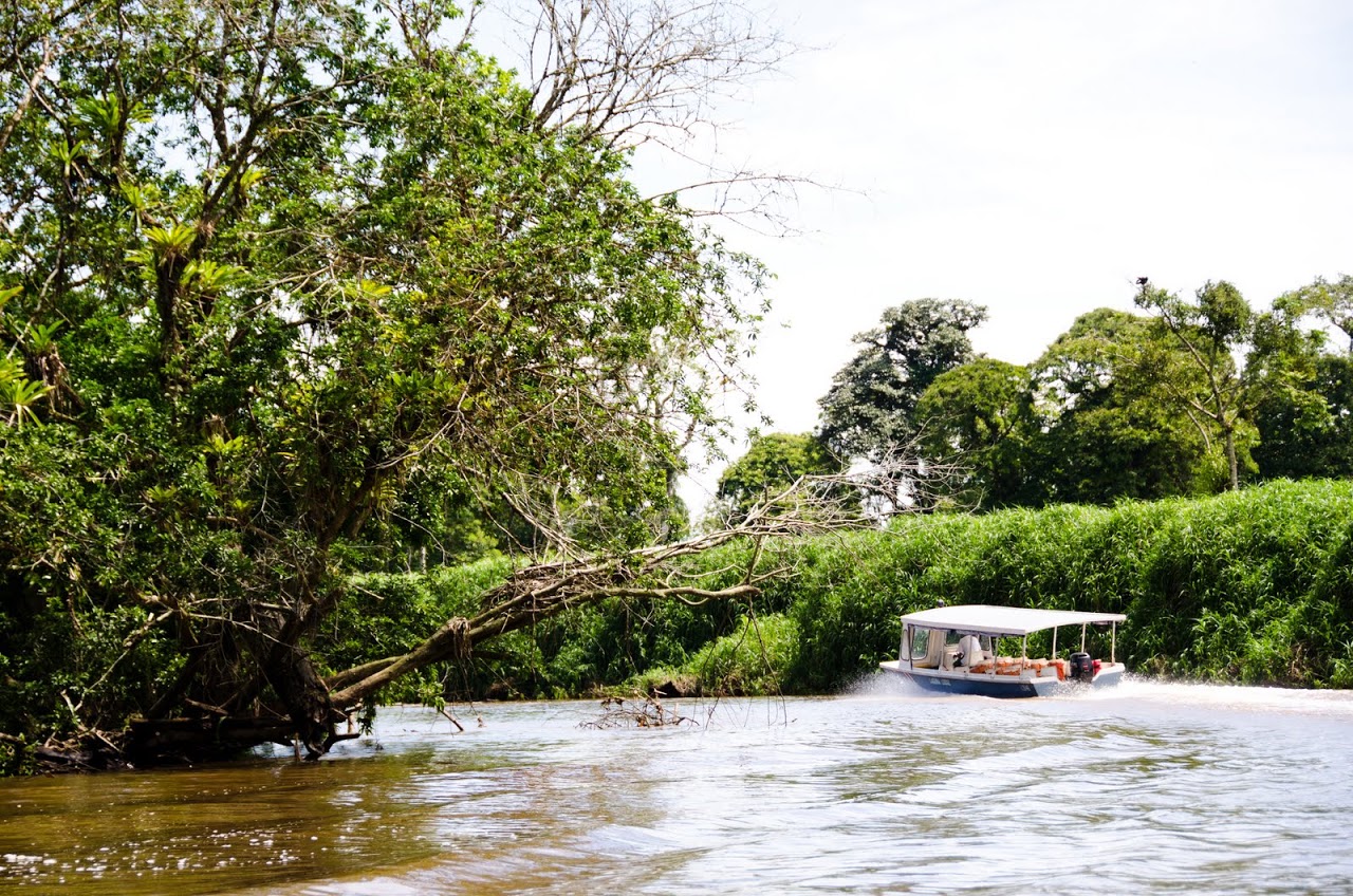 On the way to Pachira Lodge