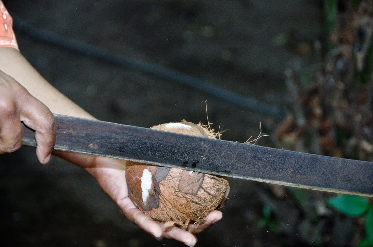 Coconut for cajeta