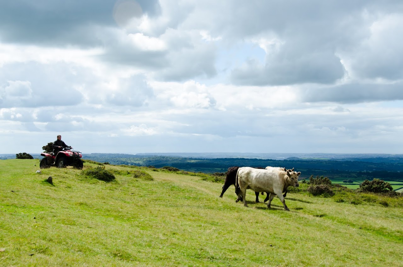 Dartmoor
