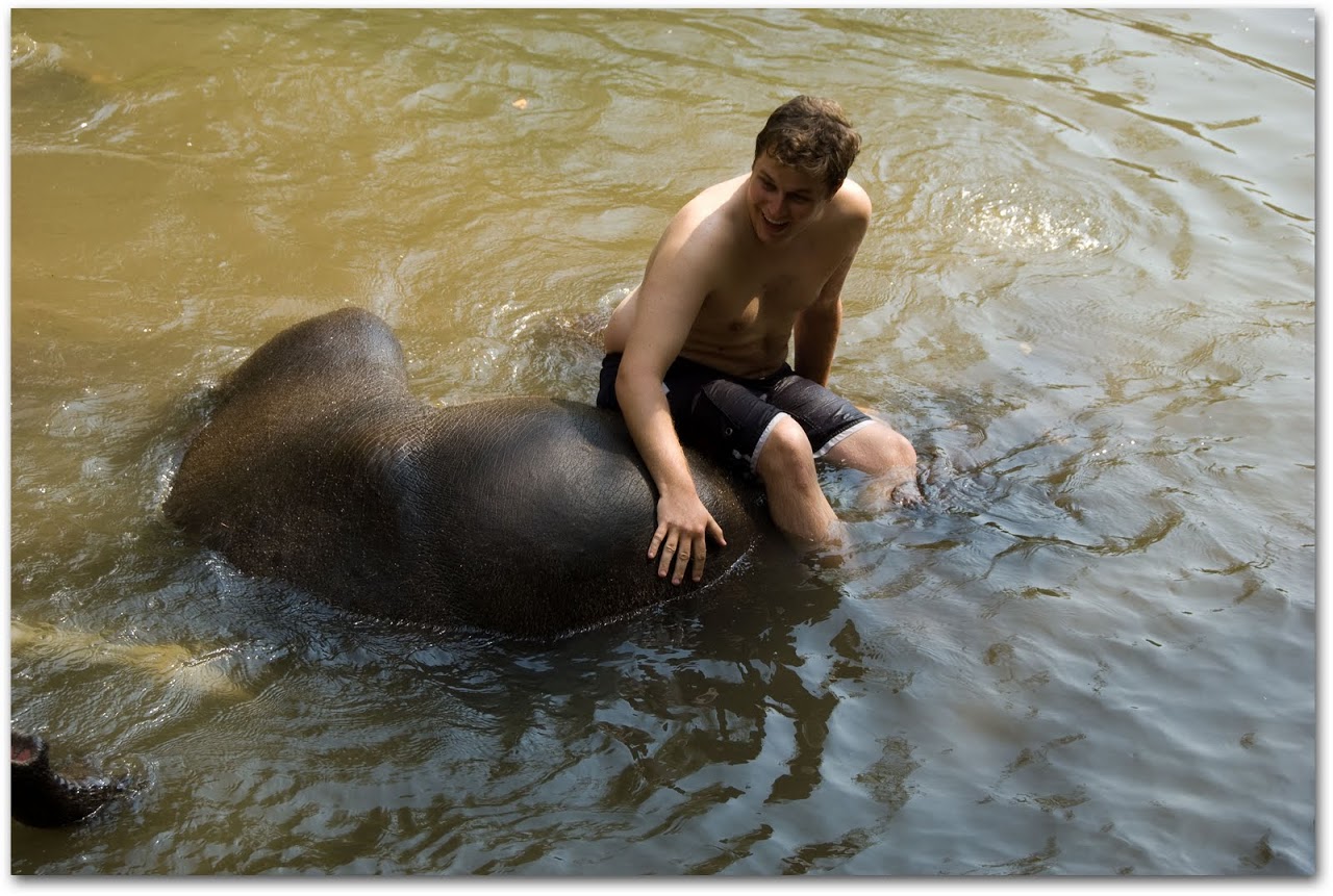 Patrick swimming with elephant