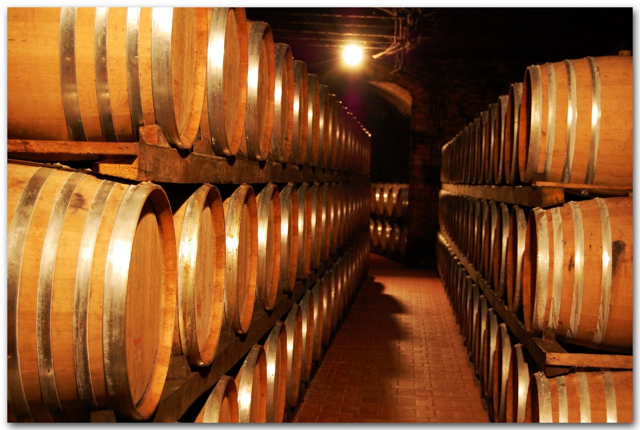 Avignonesi wine casks