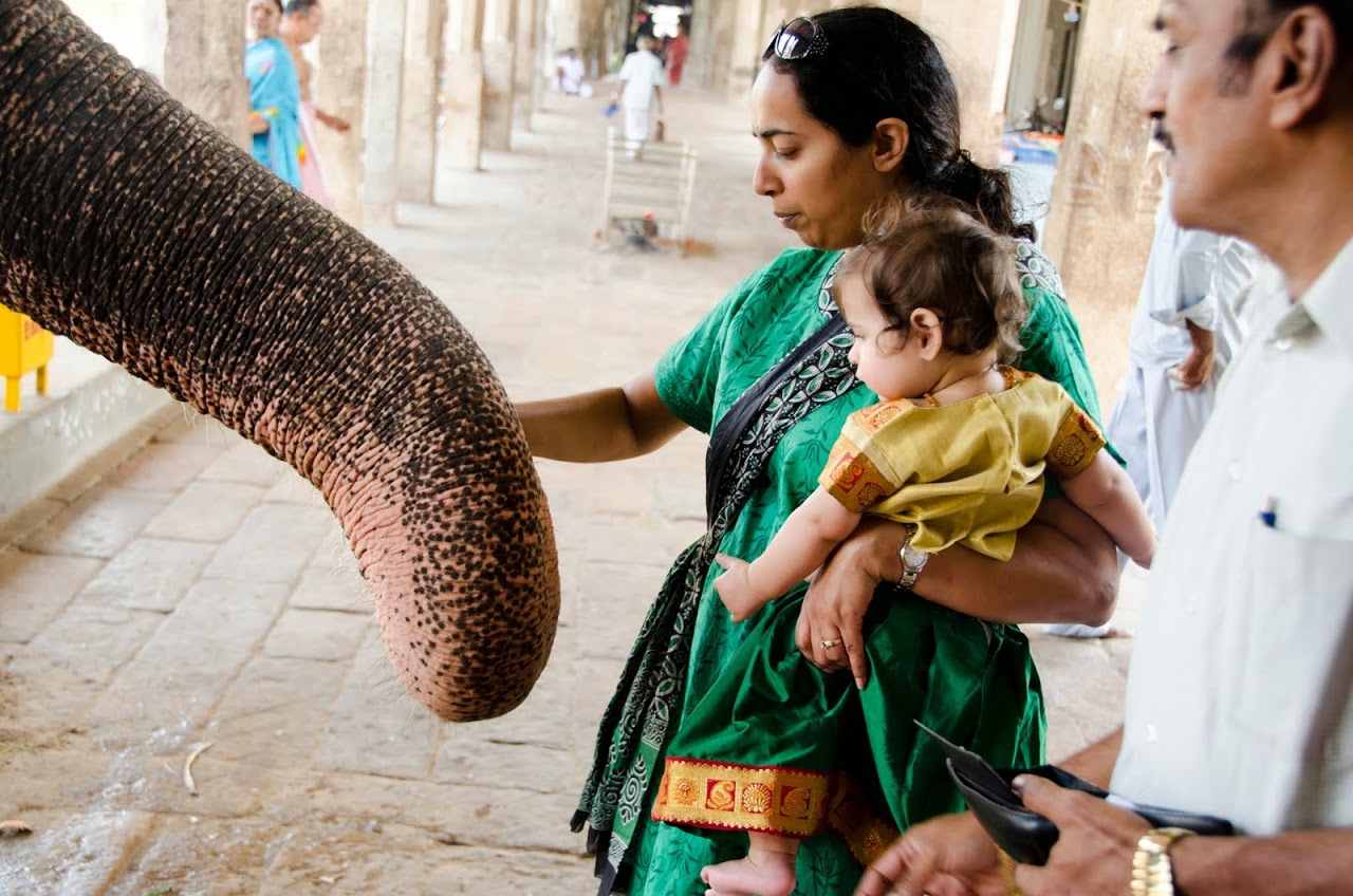 Elephant blessing me and Amara