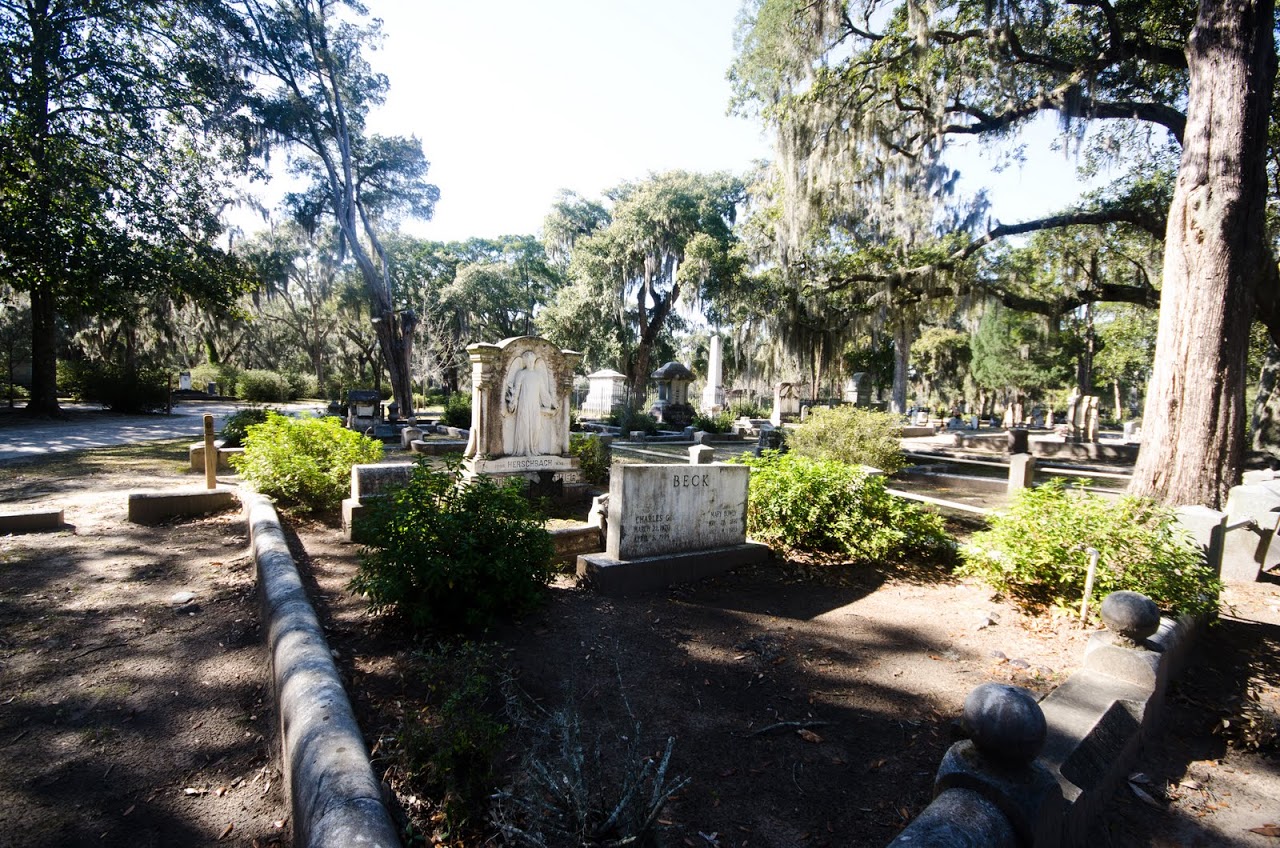 Bonaventure Cemetery