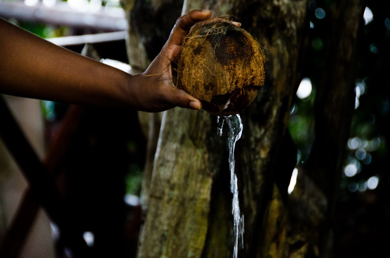 Water from coconut
