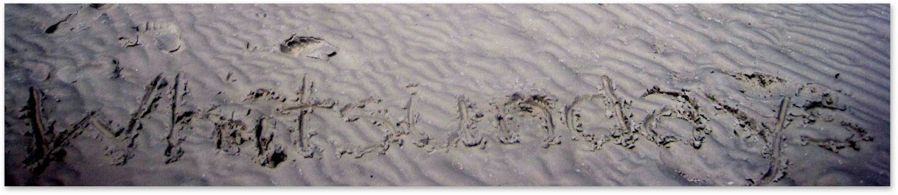 Whitsundays written in the sand of Whitehaven Beach