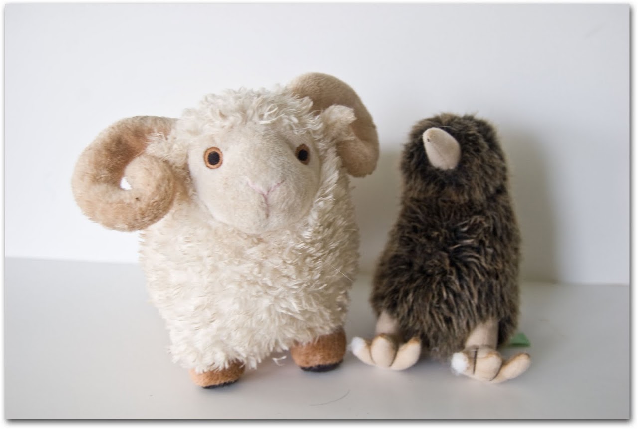 Sheep and kiwi toy
