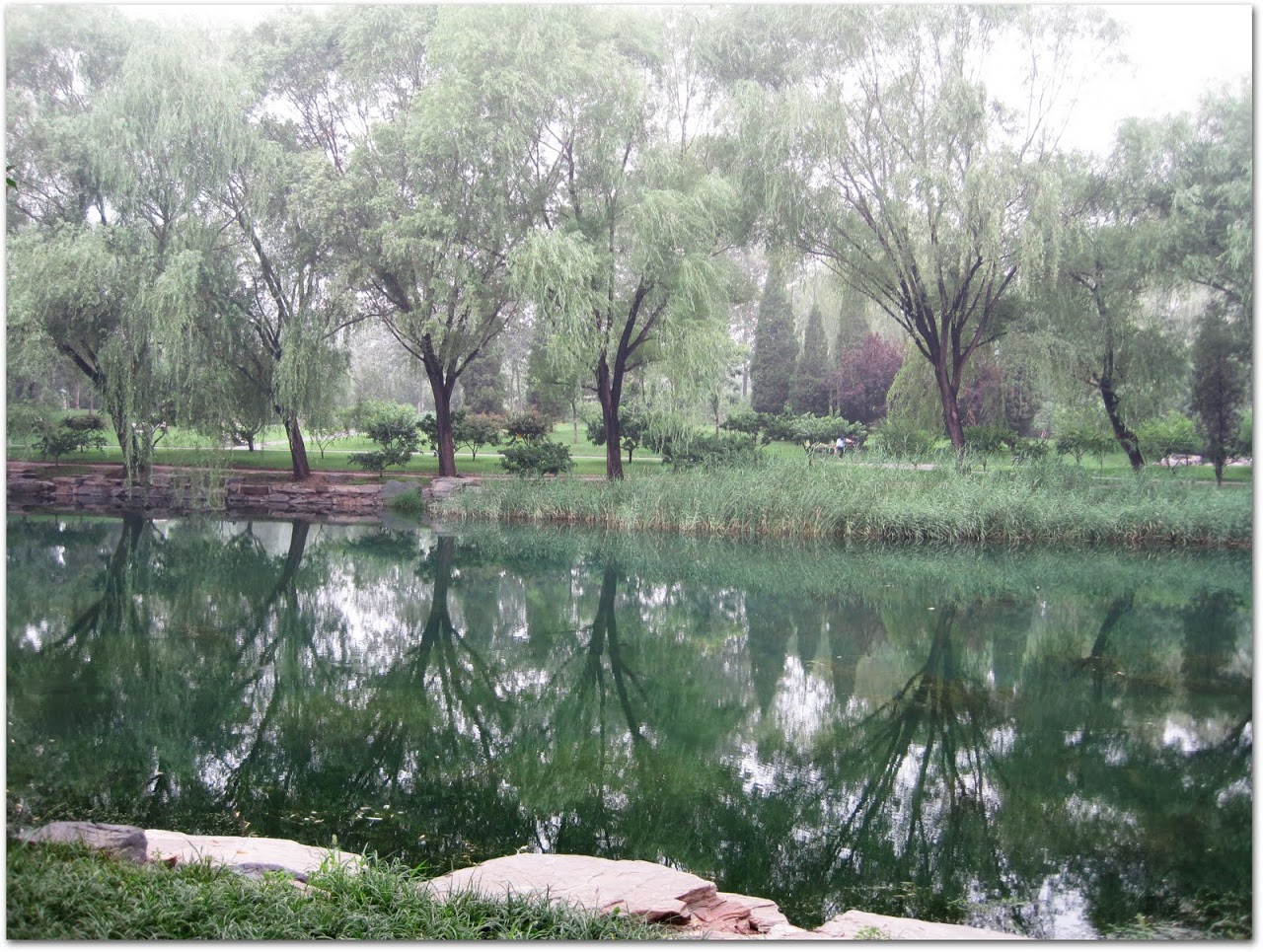 Green trees at the Summer Palace, Beijing