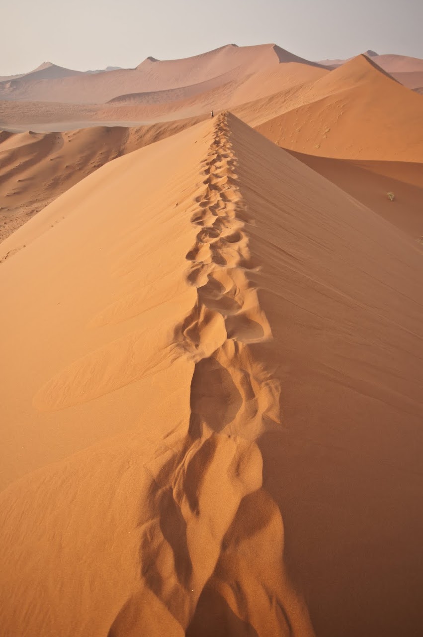 Namib desert dune