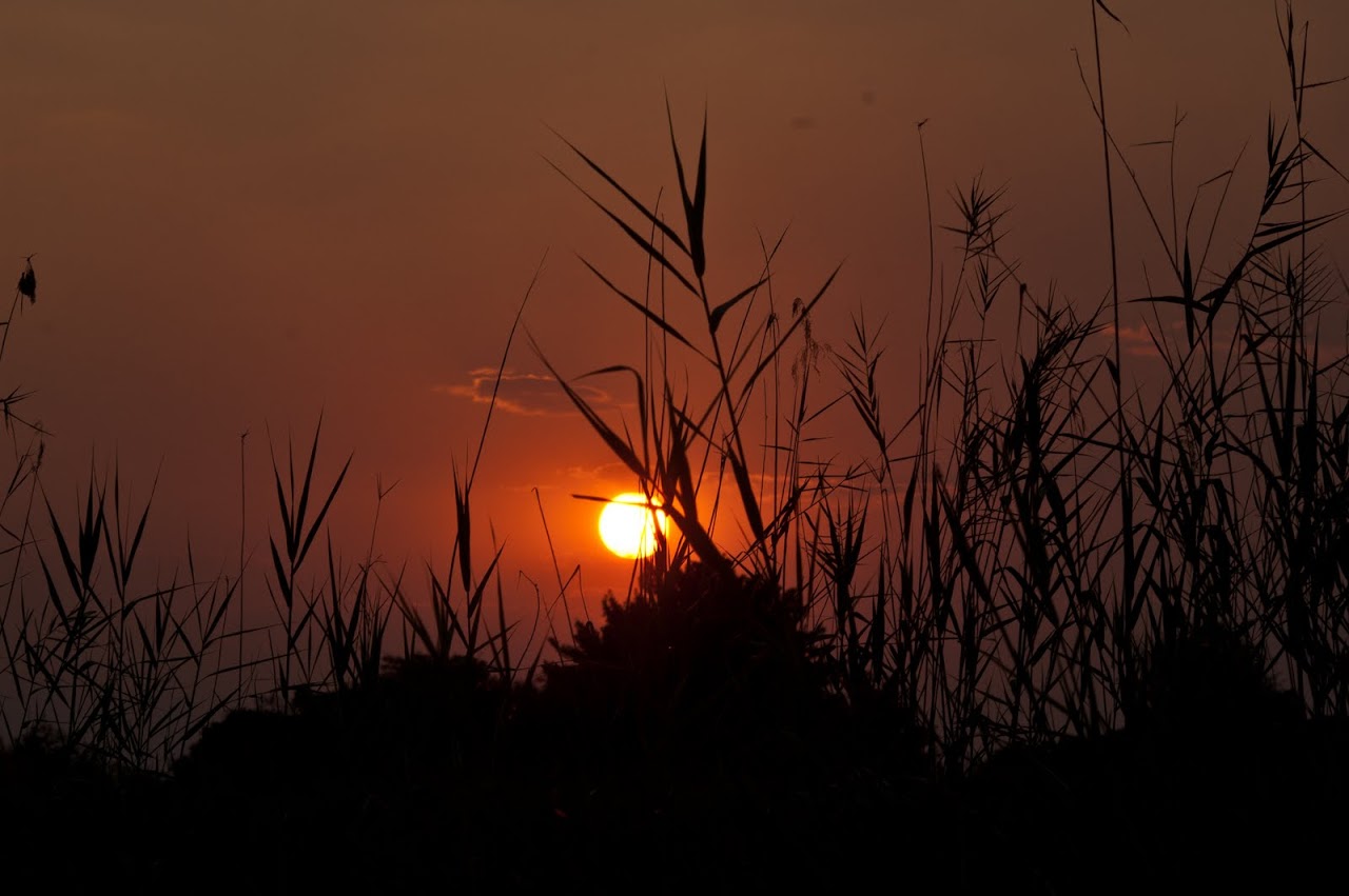 Okavango at sunset