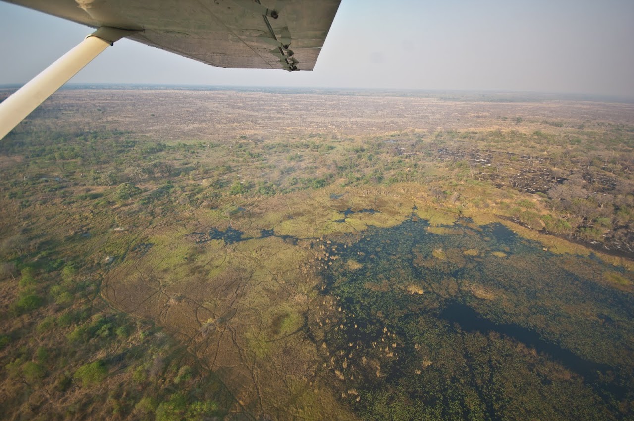 Flying over Okavango Delta