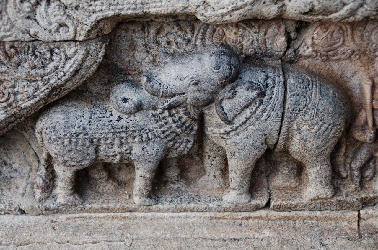 Bull and horse in Airavatesvara Temple
